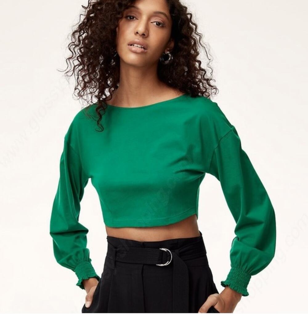 ARITZIA Wilfred Green Enzo Smocked Cuff Long Sleeve Crop Top Cotton Irish Hill S